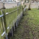 12-the-finished-hedgerow 12-the-finished-hedgerow
