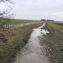 70-metres-planted